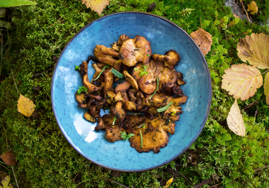 Vaaleorakkaat, yrtit, Meri-Tuuli Väntsi, Chez Meru