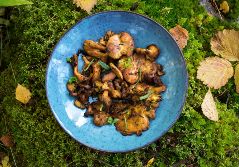 Vaaleorakkaat, yrtit, Meri-Tuuli Väntsi, Chez Meru